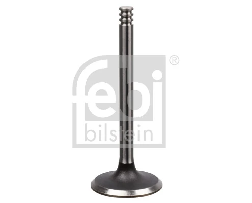 Intake Valve